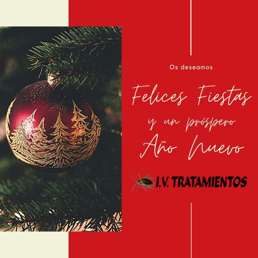 Nuestros Mejores Deseos Para Esta Navidad Iv Tratamientos Iv